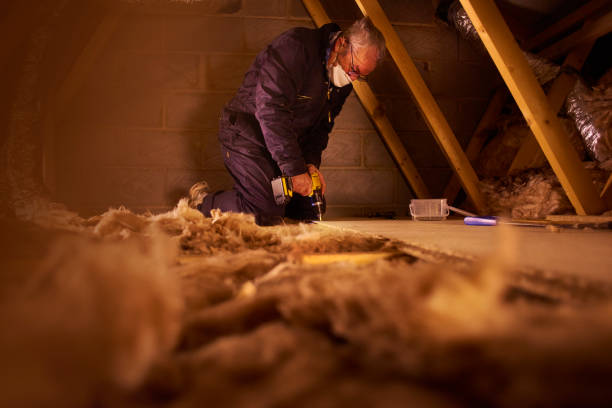 Best Insulation Maintenance and Repair in Weyers Cave, VA